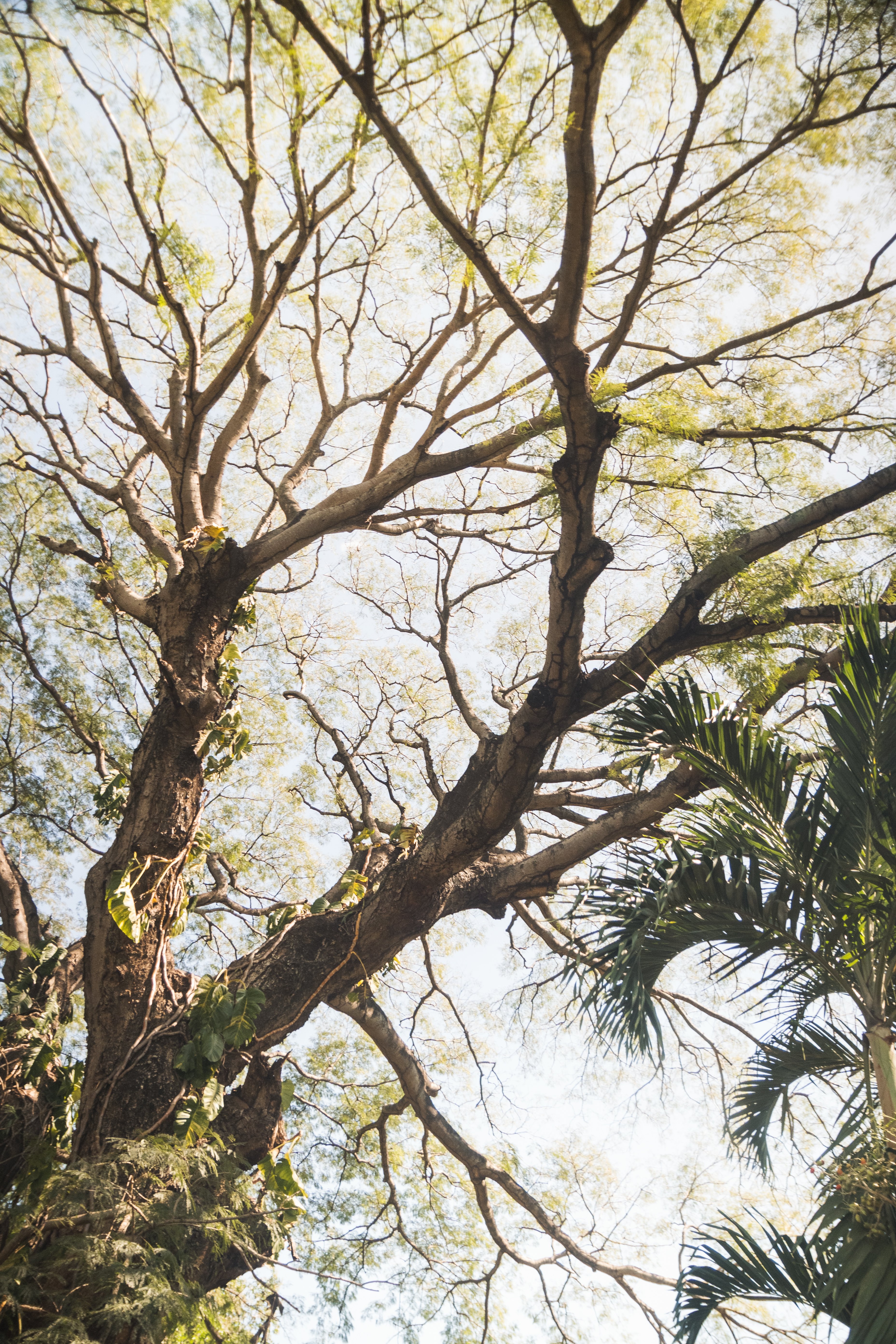 CAPOSA Plants - Tour Photos (2025)-18