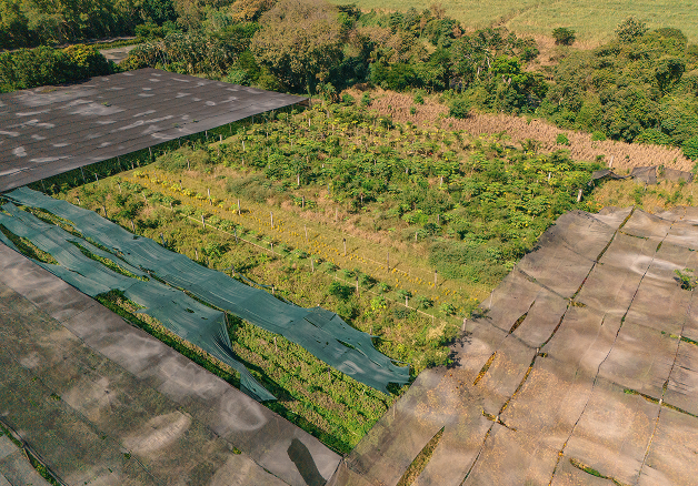 CAPOSA Plants - Tour Photos (2025)-20 2