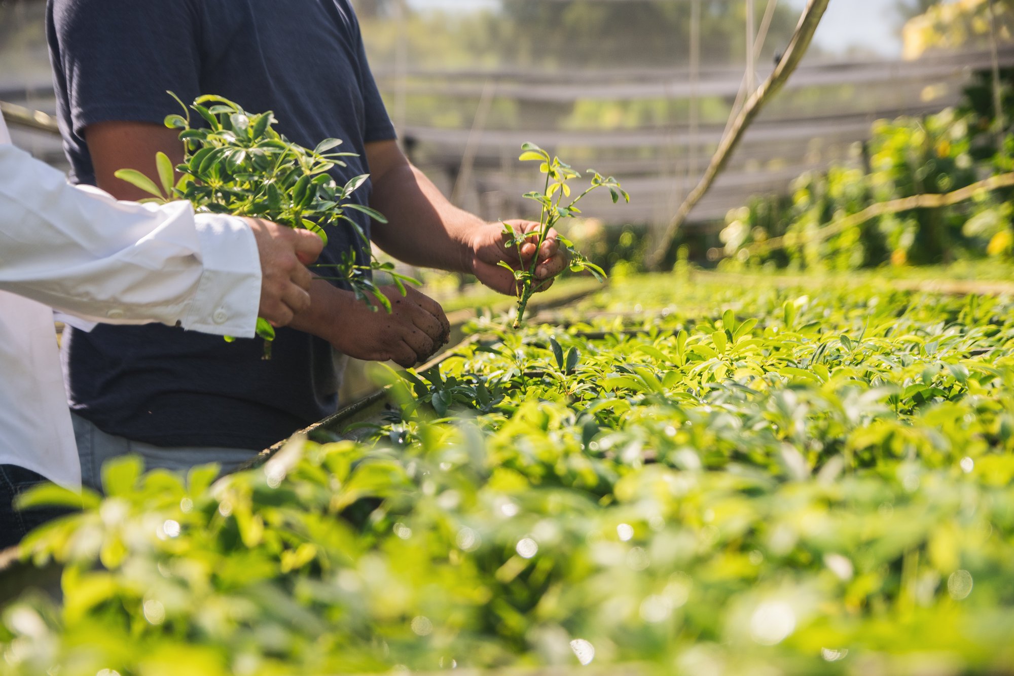 CAPOSA Plants - Tour Photos (2025)-34