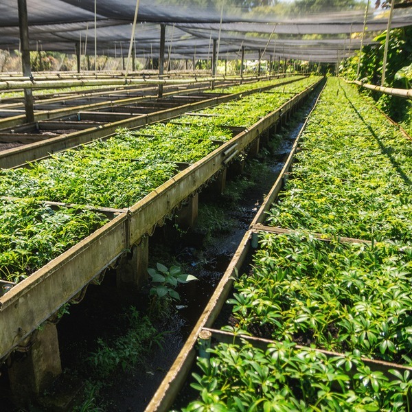 CAPOSA Plants - Tour Photos (2025)-35-1-1-1