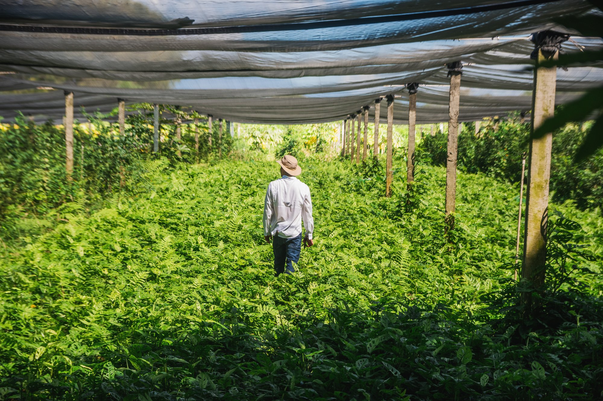 CAPOSA Plants - Tour Photos (2025)-39