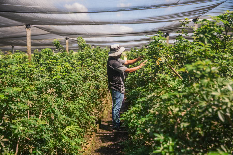 CAPOSA Plants - Tour Photos (2025)-46-1