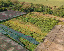 Caposa-Web-Nosotros -2