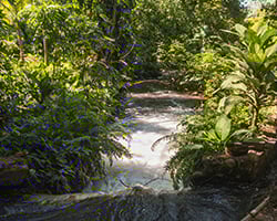 Caposa-Web-Nosotros -3